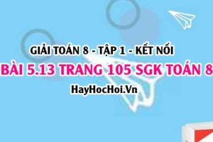 Giải bài 5.13 trang 105 Toán 8 Tập 1 SGK Kết nối tri thức